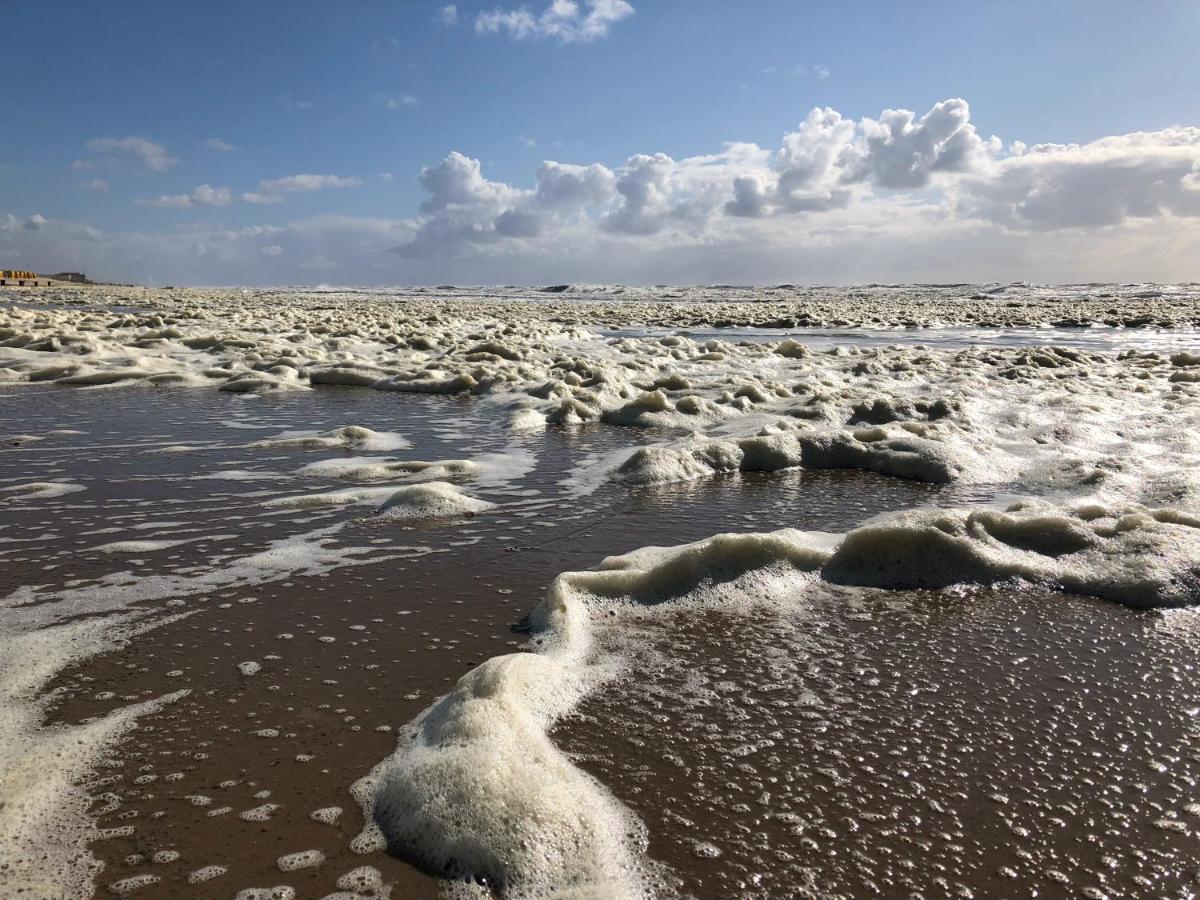 Eco Lodge Duin- Unieke Locatie -Strand, Duin En Nabij Cultuursteden Кастрикюм Екстер'єр фото