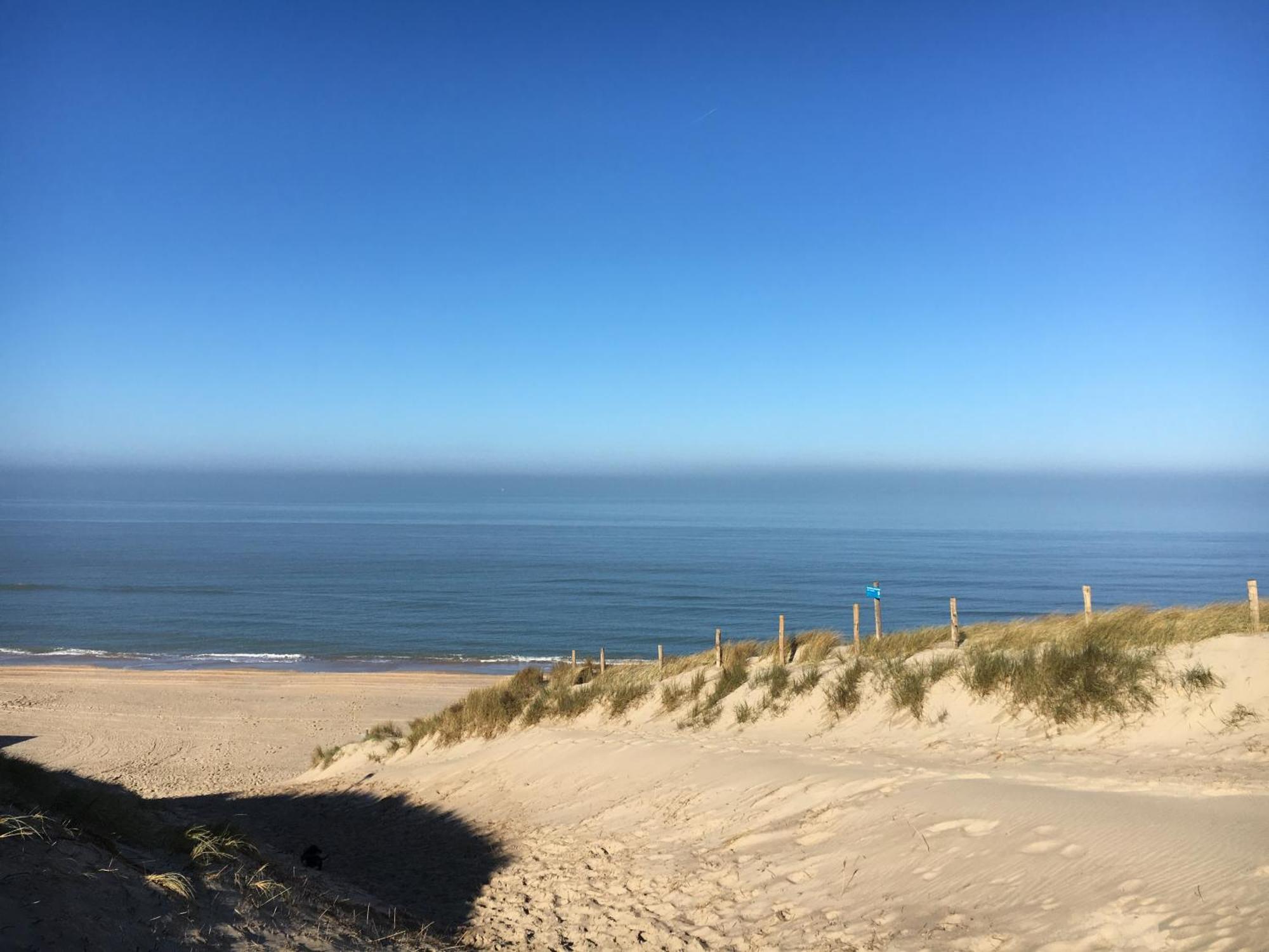 Eco Lodge Duin- Unieke Locatie -Strand, Duin En Nabij Cultuursteden Кастрикюм Екстер'єр фото