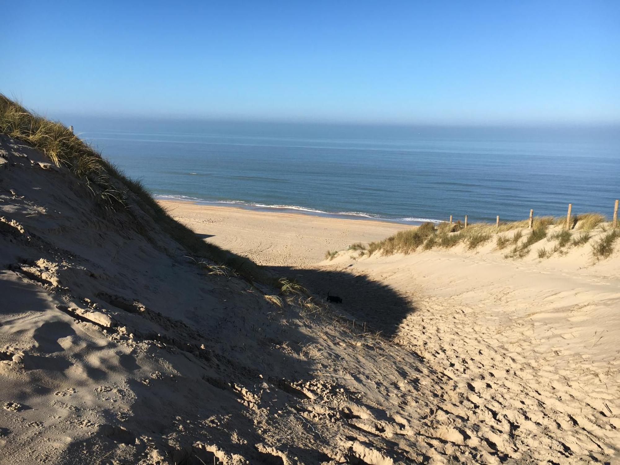 Eco Lodge Duin- Unieke Locatie -Strand, Duin En Nabij Cultuursteden Кастрикюм Екстер'єр фото