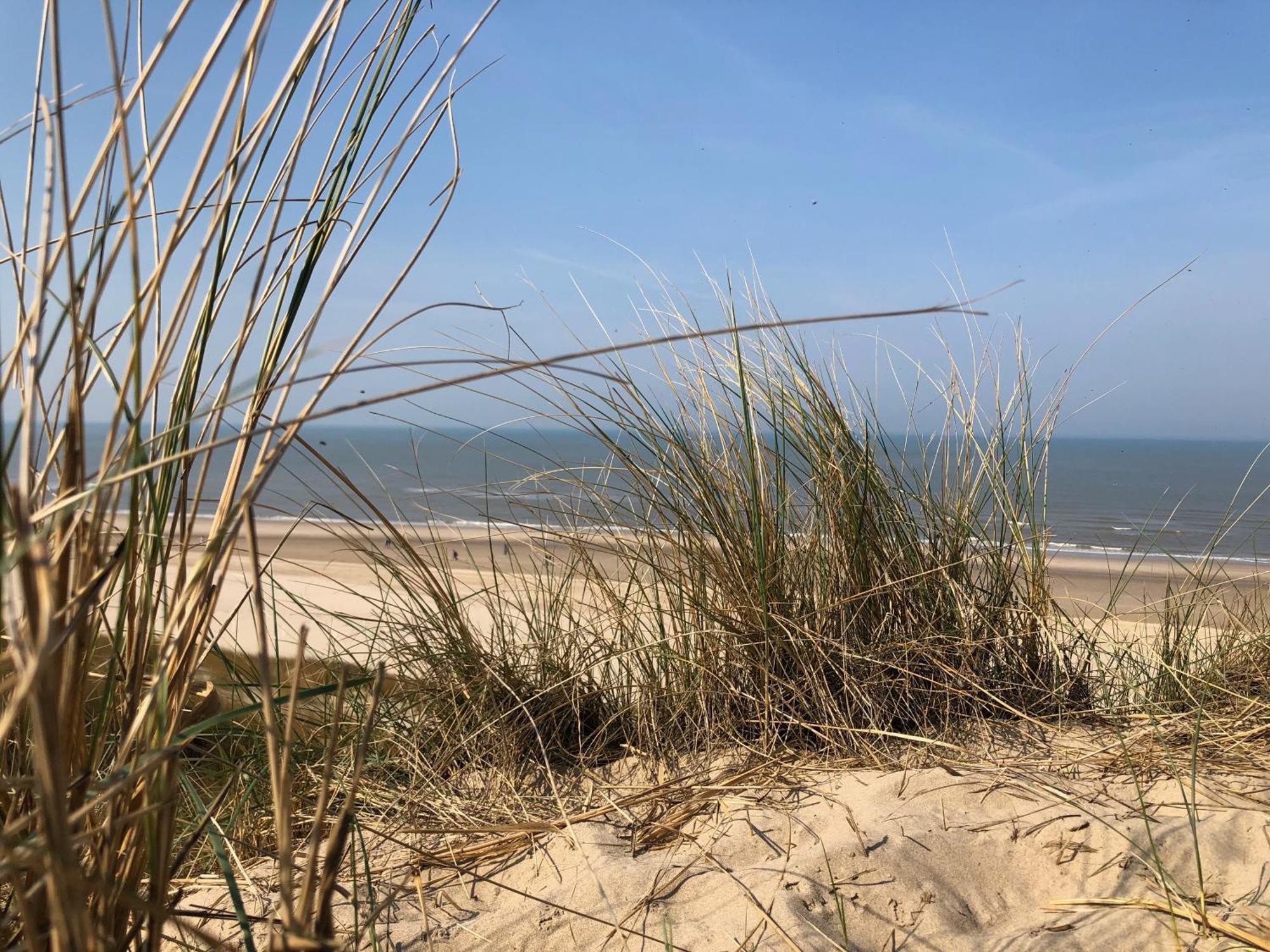 Eco Lodge Duin- Unieke Locatie -Strand, Duin En Nabij Cultuursteden Кастрикюм Екстер'єр фото